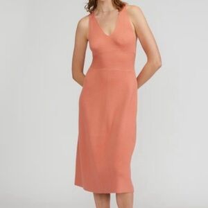 Everlane Rose Midi Dress